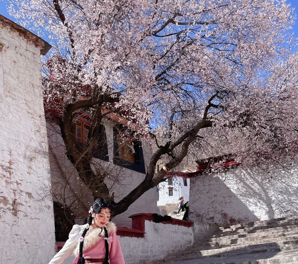 13-Day Tibet Tour on Flights and Soft Sleepers