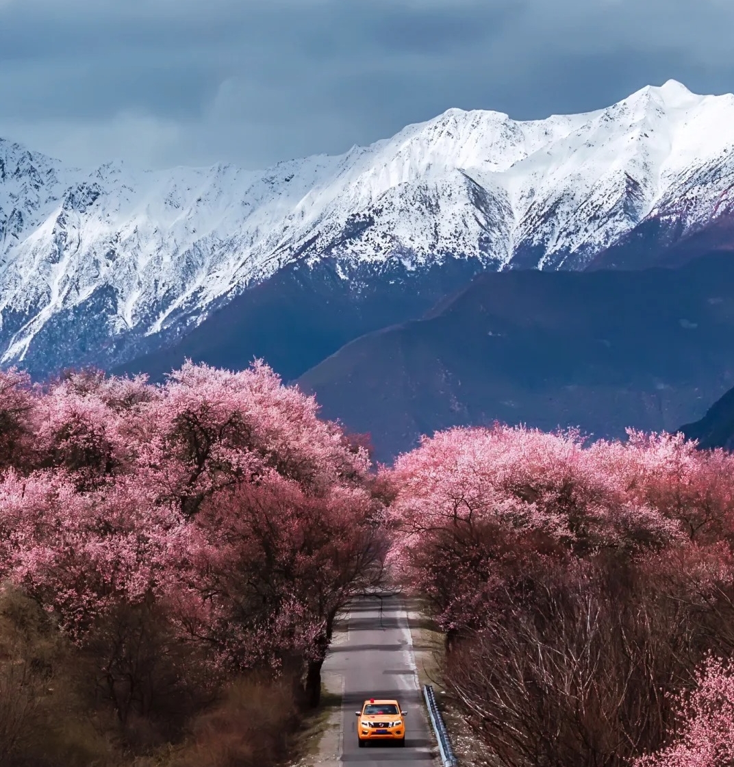 Entry Guidelines for Malaysian Tourists to Tibet