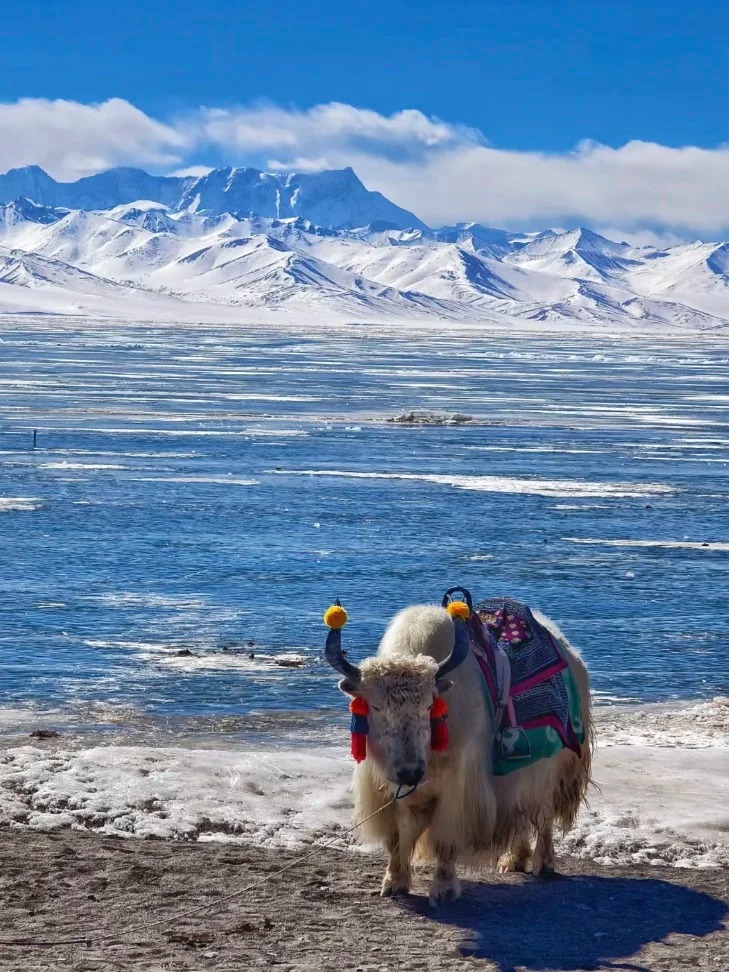 These 7 places in Tibet are a must-visit, absolutely breathtaking!