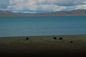 Tibet | The Most Beautiful Journey into Tibet