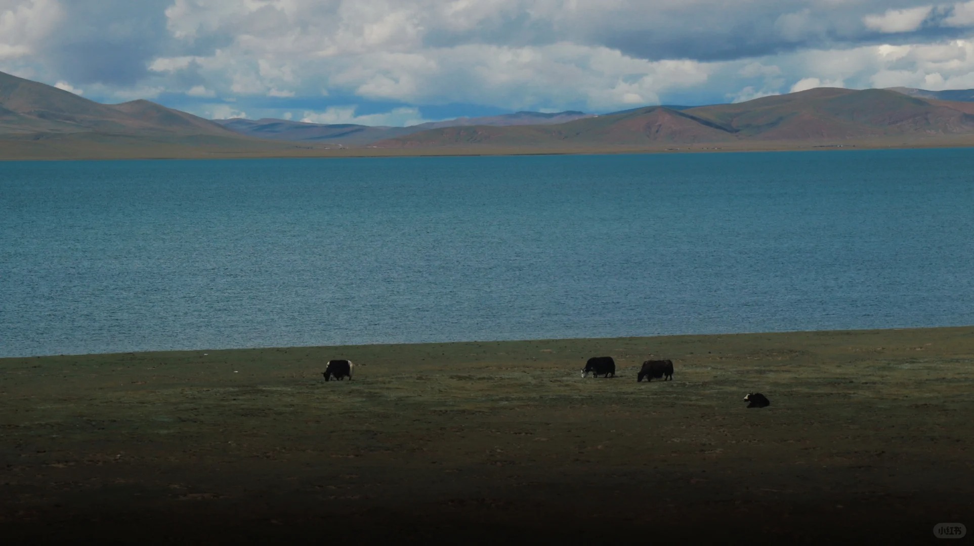 Tibet | The Most Beautiful Journey into Tibet