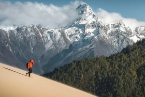 Buddha’s Palm Sand Dunes