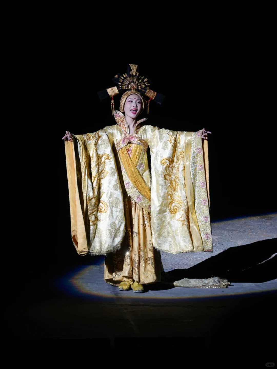 The Princess Wencheng Show