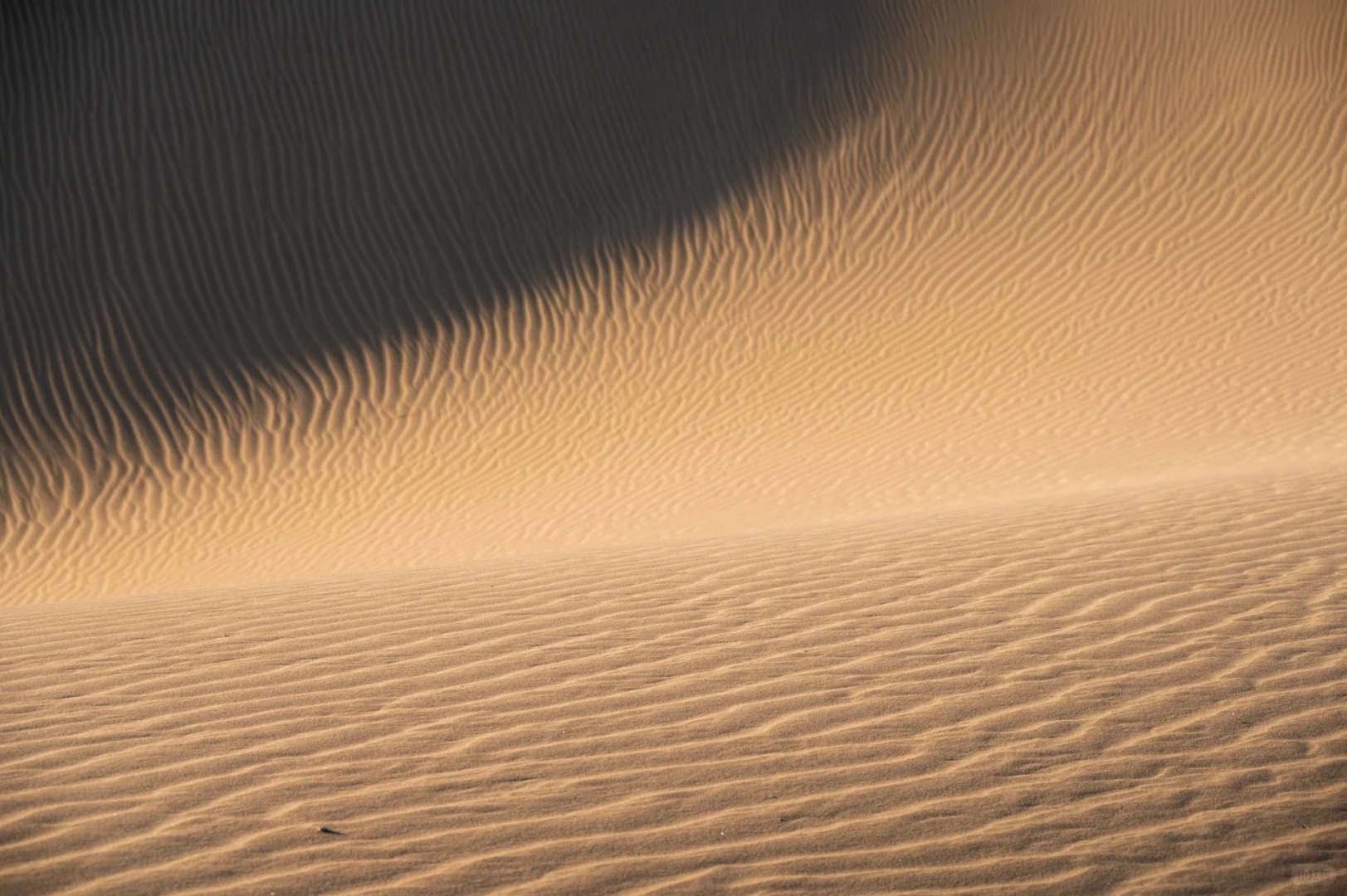 Collision of Snow Mountains and Sand Dunes – Linzhi Buddha’s Palm Dune