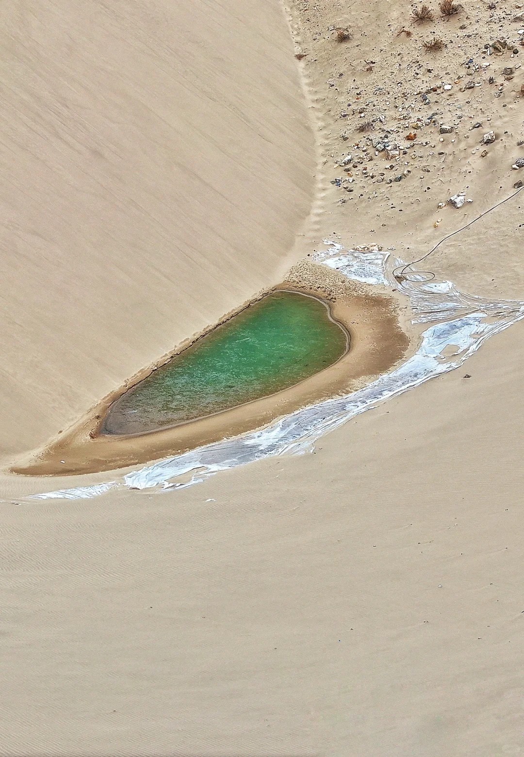 Collision of Snow Mountains and Sand Dunes – Linzhi Buddha’s Palm Dune