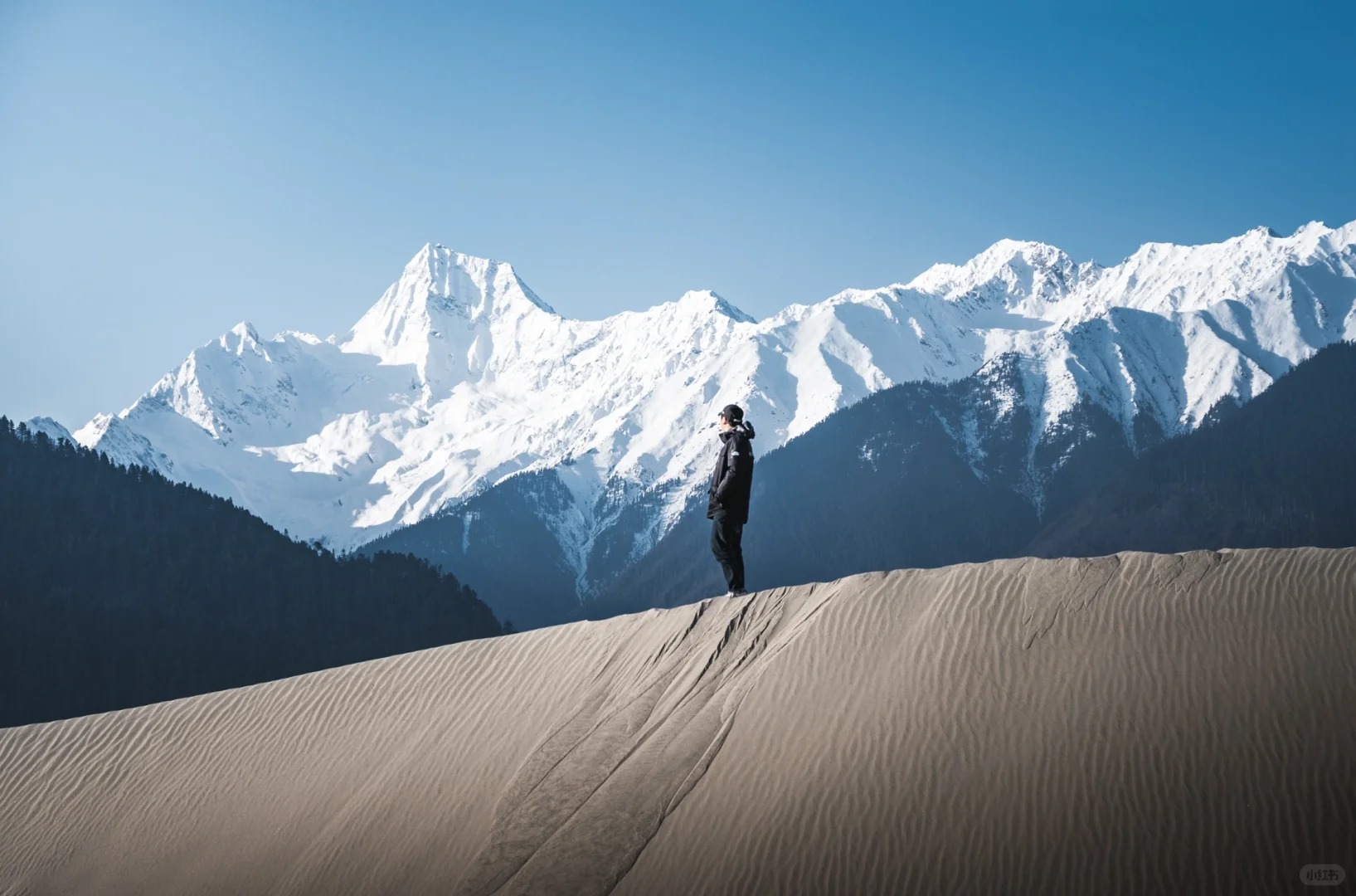 Collision of Snow Mountains and Sand Dunes – Linzhi Buddha’s Palm Dune