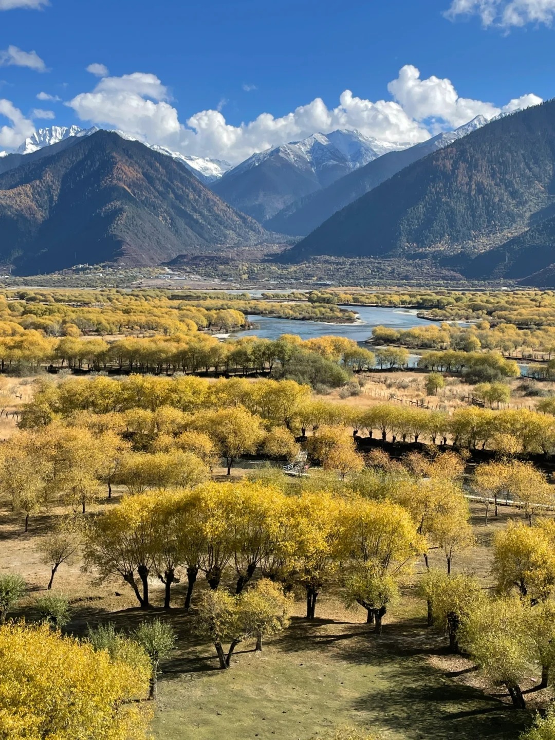 Tibet Grand Circle Tour: 13-Day Fly & Train Package