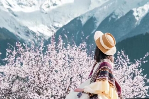 2025 Tibet Tour || Peach Blossom Viewing in Nyingchi Now Open for Booking！！