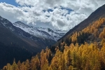 Autumn in Tibet for 10 Days: Nyingchi+Lhasa+Yamdrok Lake+Ranwu Lake+Bomi+Namtso Lake+Qinghai-Tibet Railway