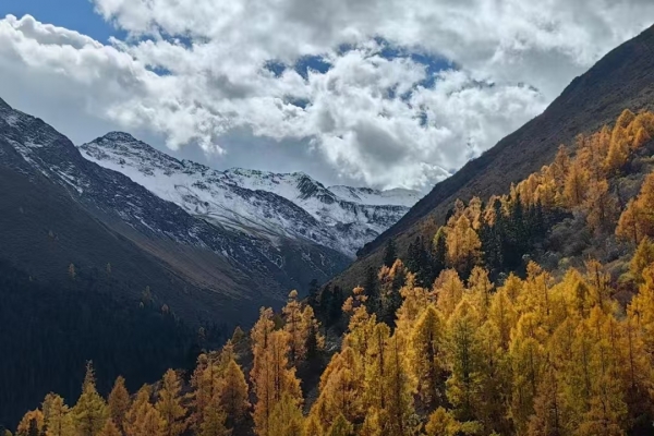 Autumn in Tibet for 10 Days: Nyingchi+Lhasa+Yamdrok Lake+Ranwu Lake+Bomi+Namtso Lake+Qinghai-Tibet Railway