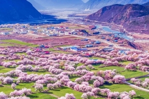 Direct Flight to Nyingchi: Nyingchi Peach Blossom Festival + Bomi Peach Blossom Valley+Lhasa + Yamdrok Lake + EBC + Qinghai-Tibet Railway 13-Day Tour