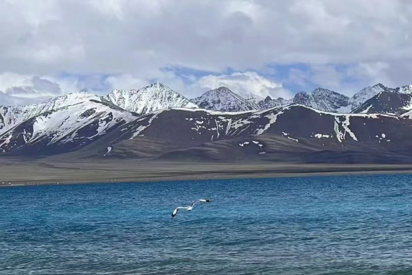 9-Day Blue Ice Spectacle: Laigu Glacier+ Lhasa+Nyingchi+Bomi+Yamdrok Lake