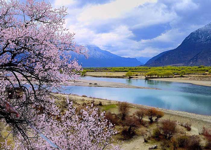 10-day Tour for Nyingchi+Bomi+Lhasa+Yamdrok Lake+Sightseeing Soft Sleeper Train