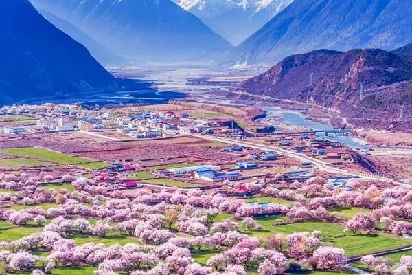 Tibet Nyingchi Peach Blossom Festival