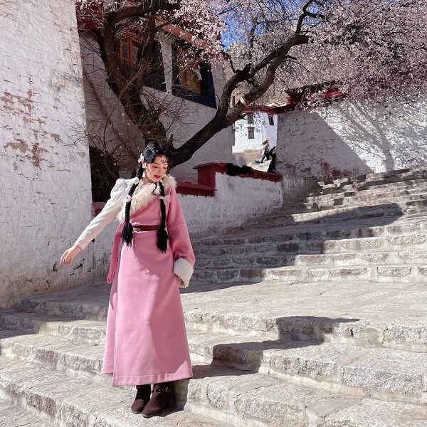 Tibet Nyingchi Peach Blossom Festival