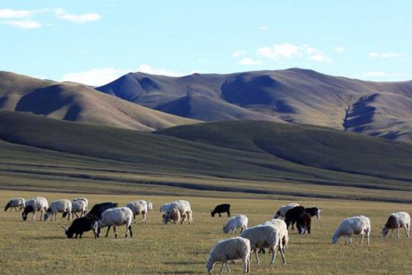 Environment of Tibet